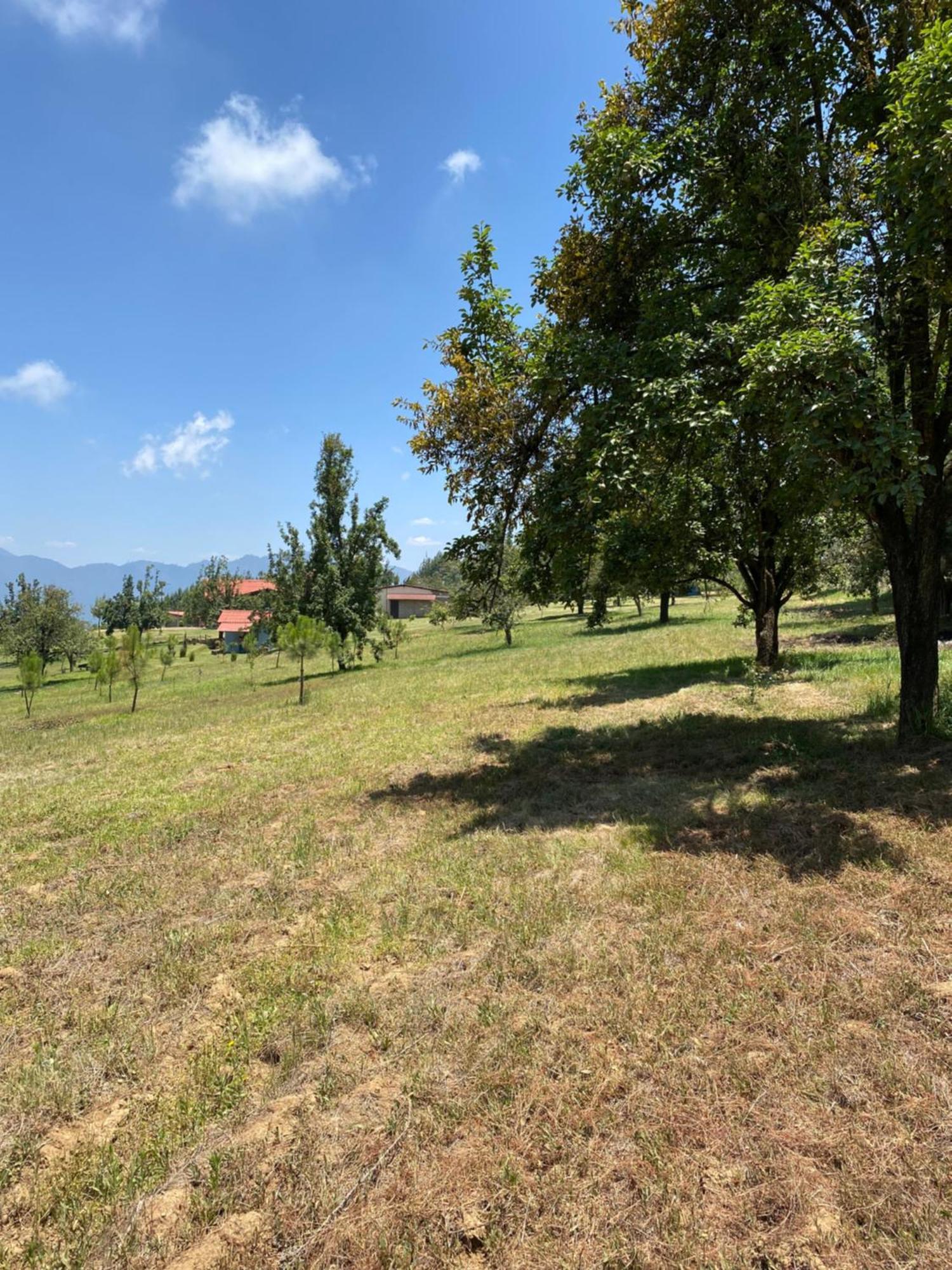 Cabanas Huerta La Mision, Zacatlán Exteriér fotografie